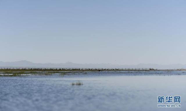 高原明珠——青海湖