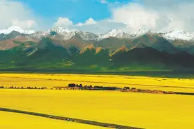 擘画绿色农牧生态蓝图——青海奋力打造绿色有机农畜产品输出地图片