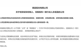 两跌停后朗姿股份发出“输血”承诺函，细节缺失引投资者不满图片