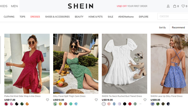 SHEIN财富密码：中国式种草+中国制造