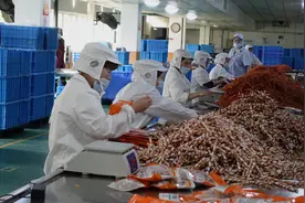站上风口的宠物小镇：“环保风暴”过后，掘金狗咬胶图片