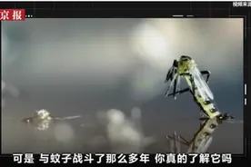 每年约72.5万人因蚊虫叮咬致死！你是“招蚊”体质吗？图片