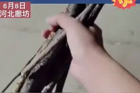 太厉害！大一学生用木棍搭底座做出无人机 试飞成功网友直呼大神图片