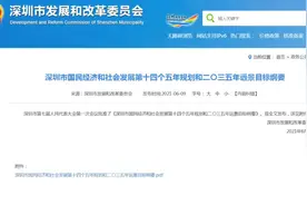 深圳“十四五”《规划纲要》全文发布，提出22项定量指标图片