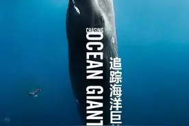这部纪录片告诉我们，夜晚的座头鲸喜欢在深海唱K图片