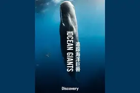这部纪录片告诉我们，夜晚的座头鲸喜欢在深海唱K图片