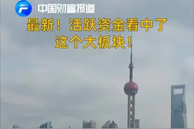 中国财富报道|最新，活跃资金看中了这个大板块！视频封面