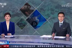 海龟产卵再破新纪录上央视！累计孵出稚龟68000多只图片