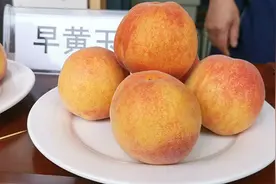 一周入账10万 啥“神仙桃子”这么好卖？图片