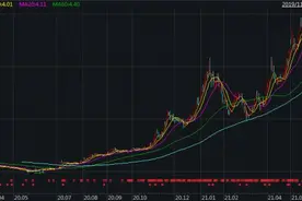逾6倍涨幅只是“空中加油”？中信建投大幅上调中远海控目标价至38元，与现价相差67%图片