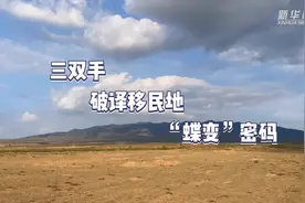 三双手破译移民地“蝶变”密码视频封面