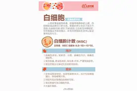 实用！9图教你看懂血常规化验单图片