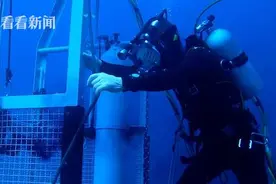 当海军防险救生潜水员遇上鲨鱼群……图片