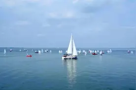 上海青浦：水乡“蝶变”，从远郊乡村迈向国际枢纽图片