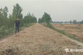 在道路上打场晒粮？危险，又违法图片