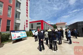 从脱贫迈向振兴丨这个年销售额近15亿的“爆款”药，原料竟然是蟑螂图片