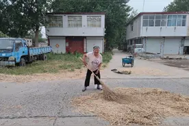 麦收侧记丨农忙假远去 农机手取代了归乡的收麦人图片