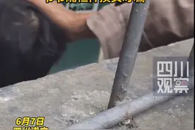 奶奶入院治疗，爷爷隔栅栏摸头叮嘱：要吃饭 要听话图片