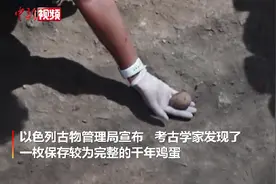 以色列考古学家发现一枚千年鸡蛋图片