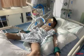 紧急救助！接连两起棕熊伤人：14岁少年，36岁孕妈妈及10岁儿子受伤严重图片