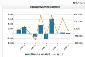 1.6万股东懵了，耗时近3年，ST沪科作价13亿重组告吹，还能“保壳”吗？图片