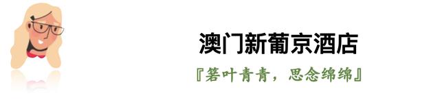 酒店用什么花胶 2026年酒店用什么花胶最好