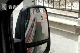 护主心切！主人被救护车接走 金毛一路狂奔追到医院图片