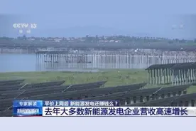 平价上网后新能源发电还赚钱吗？专家解读新能源上网电价新政图片