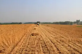 正是农忙季，老王卖掉了拖拉机图片