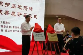 三峡文物科技保护基地建成开放图片