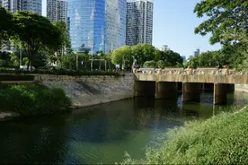 碧水流年 续写春天的故事——访福田区水务局局长何如图片