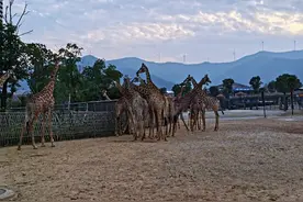 端午亲子游，湖州这几个地方亲测好玩图片