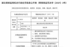 湖北省农村信用社联合社被罚款115万元，涉4项违法违规行为图片