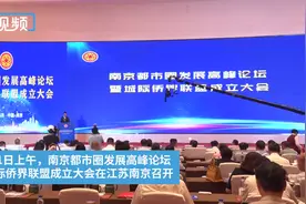 为南京都市圈发展贡献侨界力量 江苏安徽城际侨界联盟成立大会召开图片