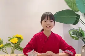 非遗故事大会⑬｜“潮汕厝，皇宫起”，一砖一瓦见证潮州名臣爱民情怀图片