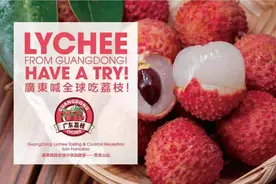 她从广东来，这个夏天荔枝讲好一个中国故事图片