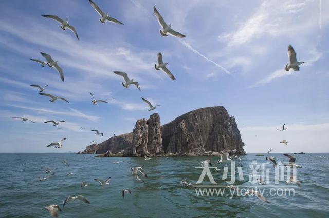 烟台开发区八角化肥厂