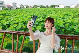 芜湖湾沚：芙蓉出水别样红图片