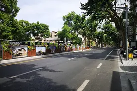 上海衡复风貌区细微处见底蕴：关注到一条路、一面墙、一棵树图片