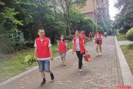 小粽子传真情 粽香中透温馨图片