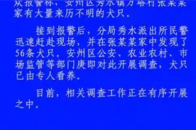 四川绵阳一村民家中发现56条来历不明犬只，多部门开展调查图片