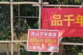 一颗荔枝68元、888元一斤！试试吗？图片
