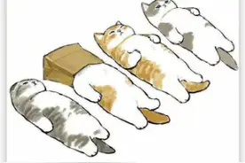 “躺平”是个啥，外国人都知道了？图片