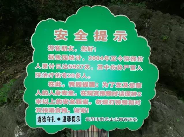 它们，凭本事欠揍