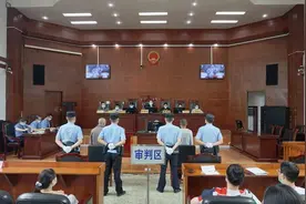 乐山两男子猎捕“癞疙宝”获刑！这些野生动物不能逮图片