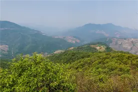 章郎寻茶：云南深山中的千年茶族图片