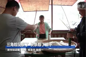 三角粽见多了 长条粽了解下视频封面