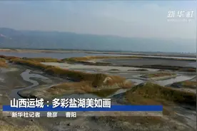 山西运城：多彩盐湖美如画视频封面