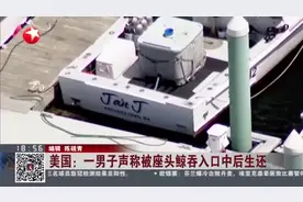美国：一男子声称被座头鲸吞入口中后生还视频封面