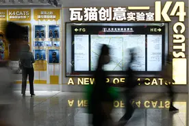 走下屋脊 云南瓦猫“安新家”图片